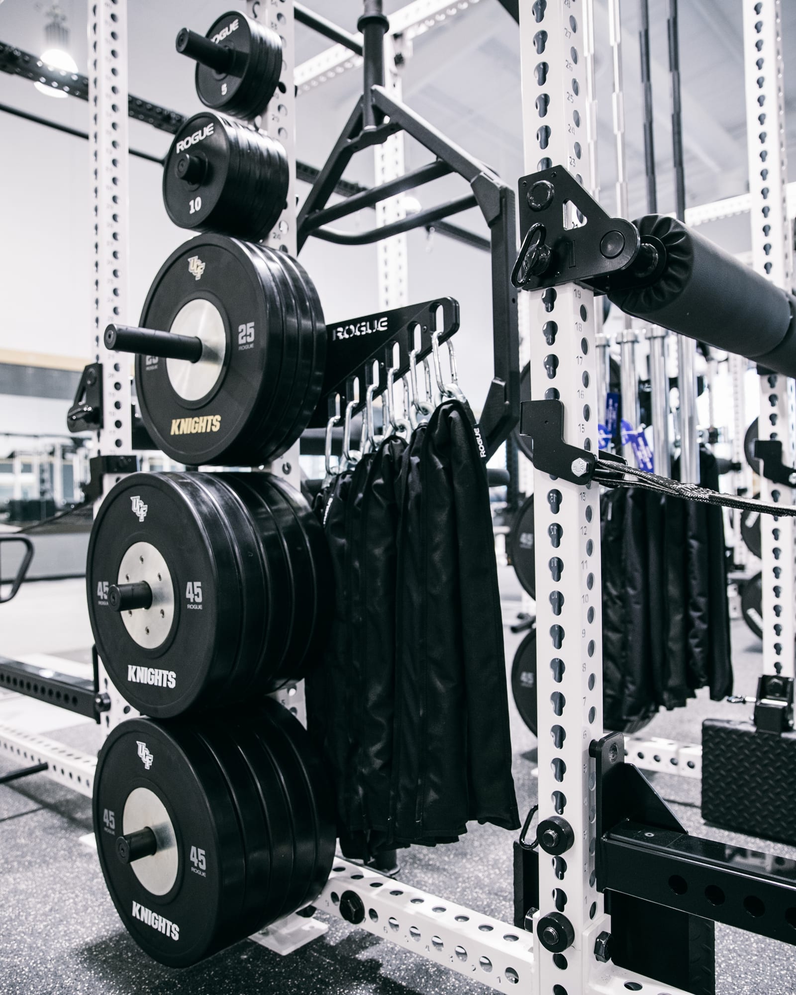 Monster Chain Hanger | Rogue Fitness